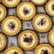 Picture of Mini Blueberry Cheese Tartlets Catering Box